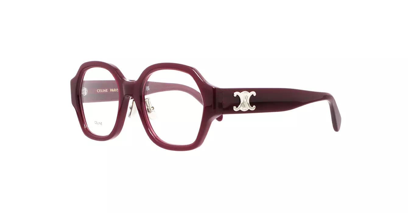 Celine CL50134F 069 s51
