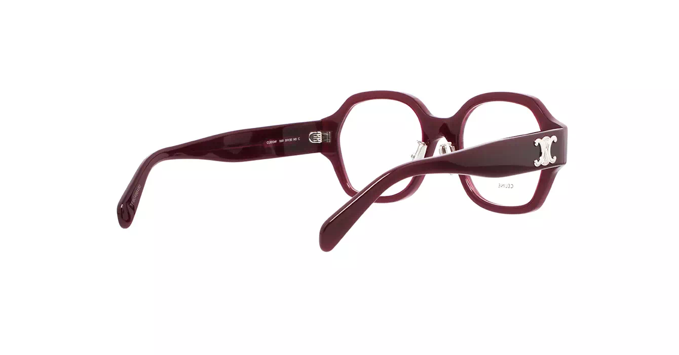 Celine CL50134F 069 s51