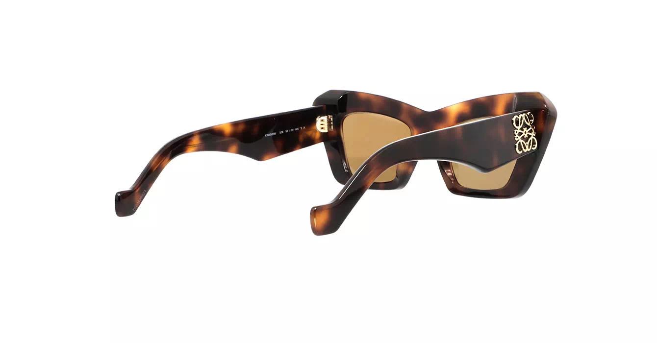 Loewe LW40036I 53E s50