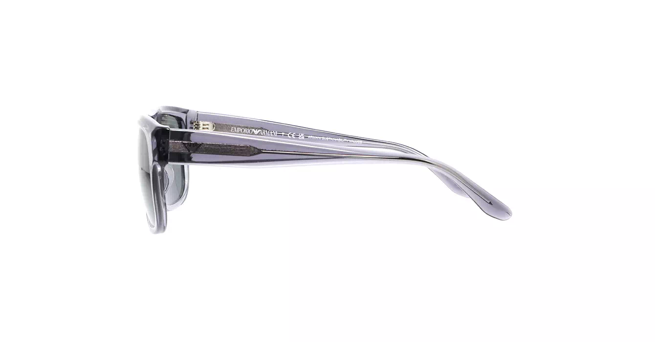 Emporio Armani EA4197F 5029/87 s57