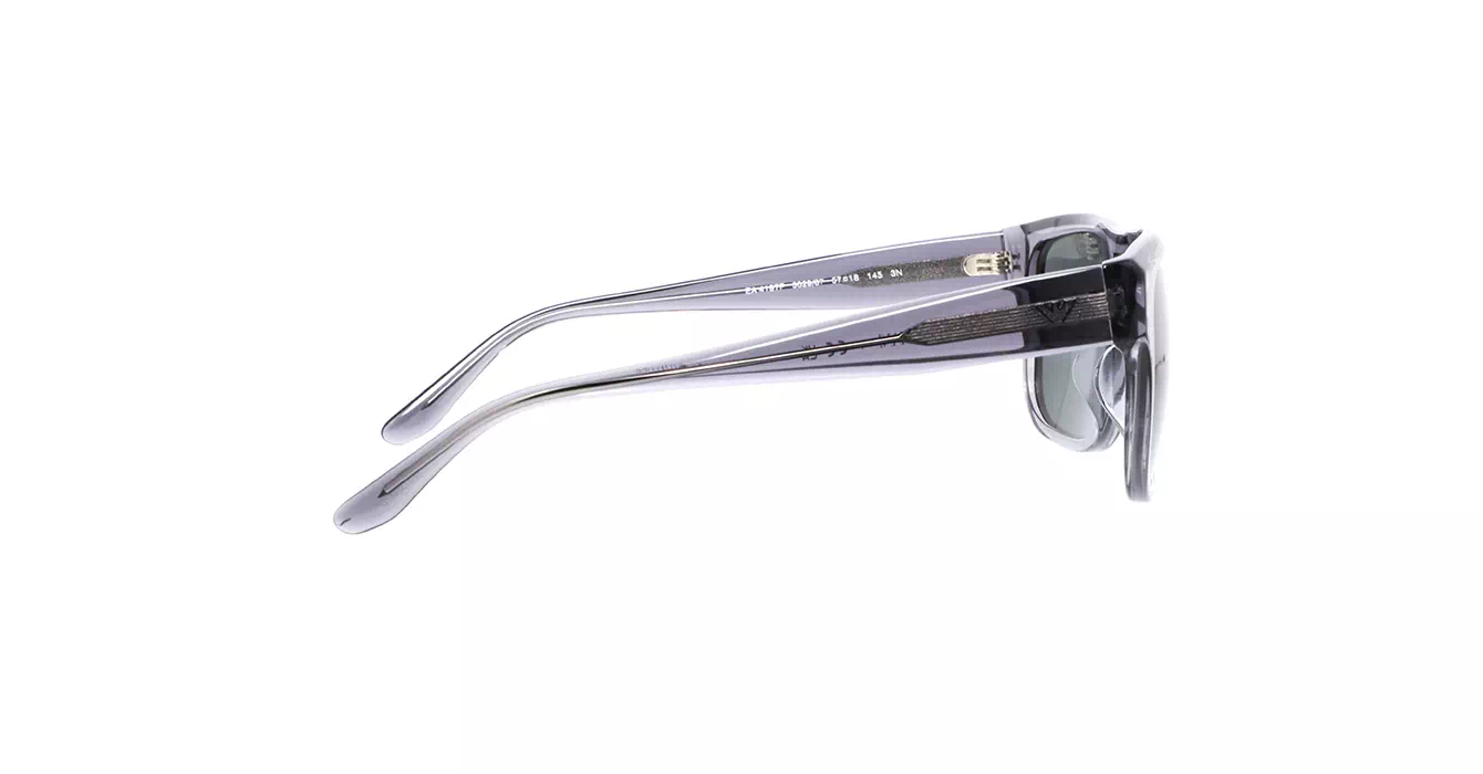 Emporio Armani EA4197F 5029/87 s57