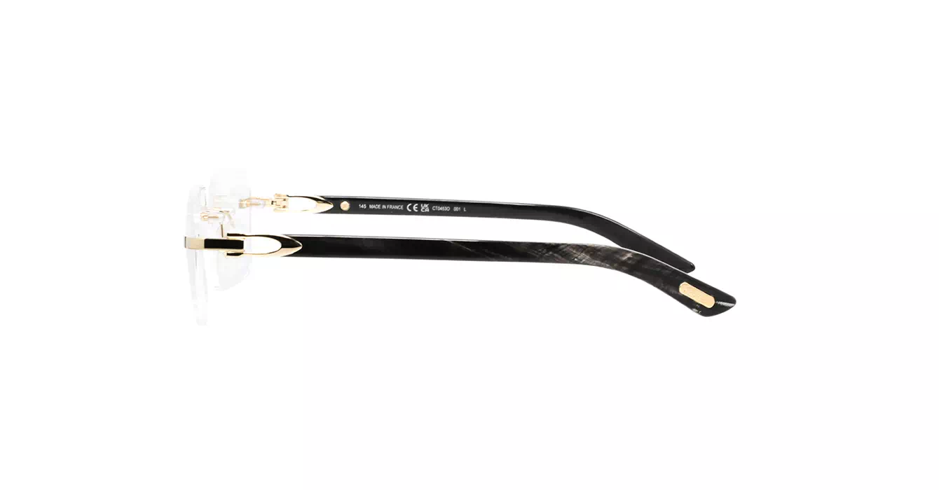 Cartier CT0453O 001 s56