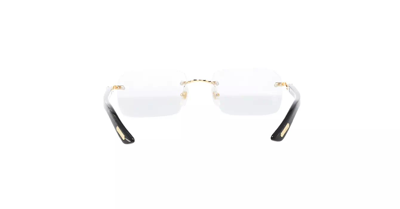 Cartier CT0453O 001 s56