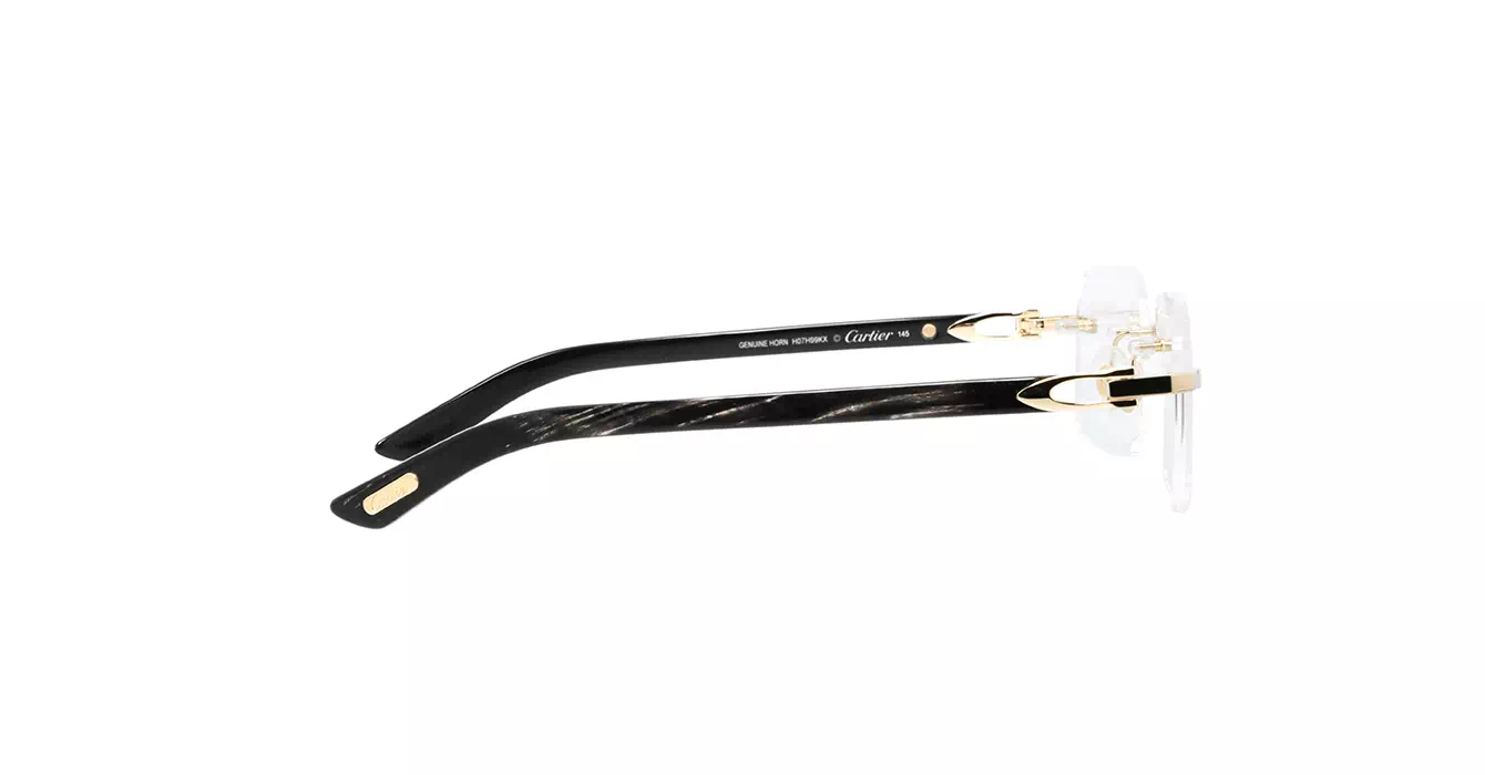 Cartier CT0453O 001 s56
