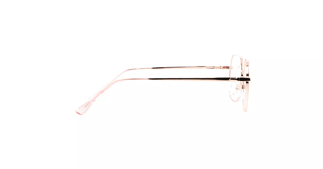 XYZ 82026 C19 s50