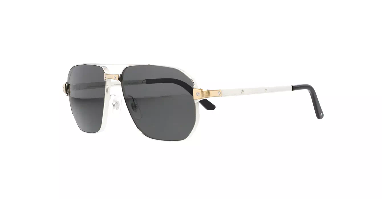Cartier CT0424S 001 s59