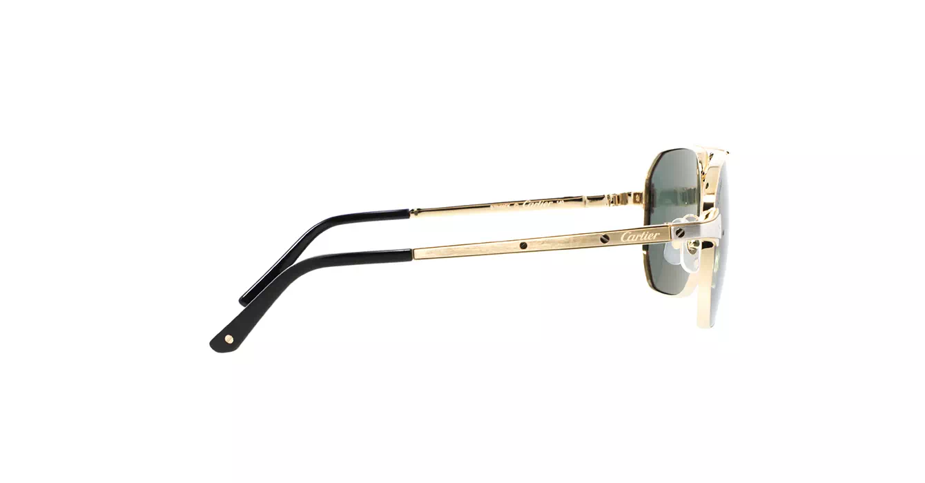 Cartier CT0424S 002 s59