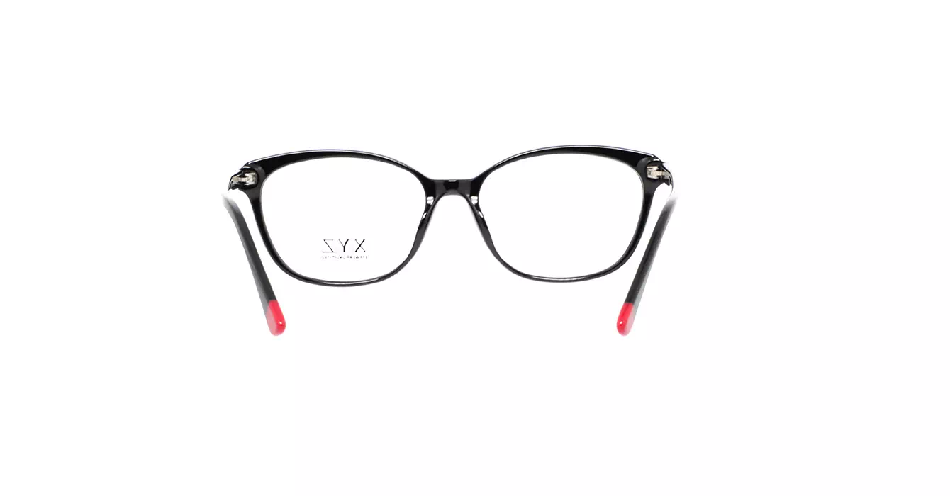 XYZ 8331 C1 s55