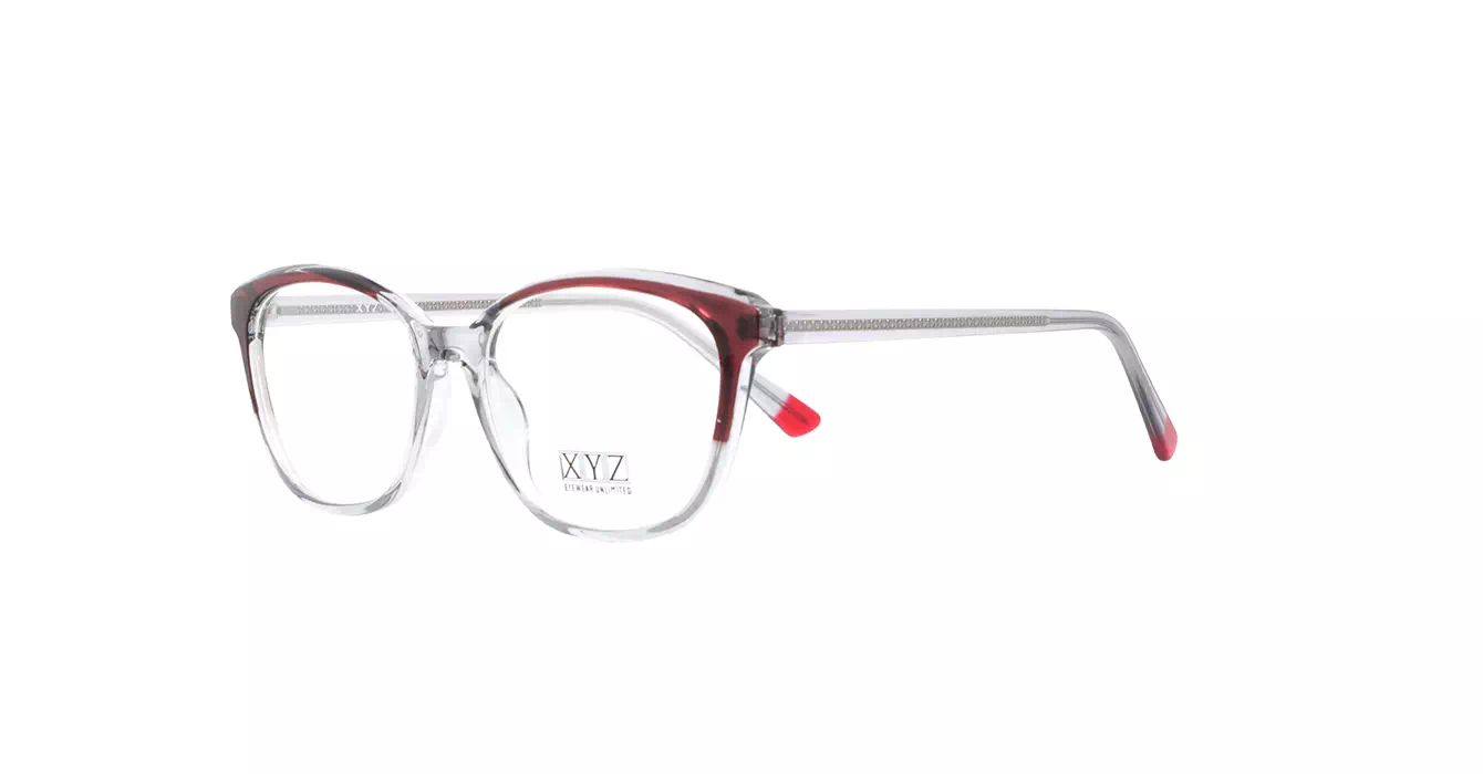 XYZ 8331 C2 s55