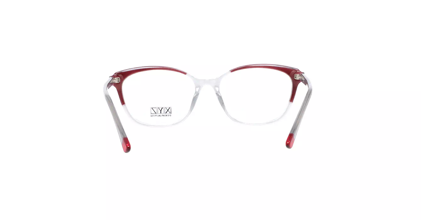 XYZ 8331 C2 s55