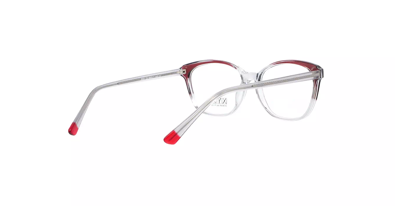 XYZ 8331 C2 s55