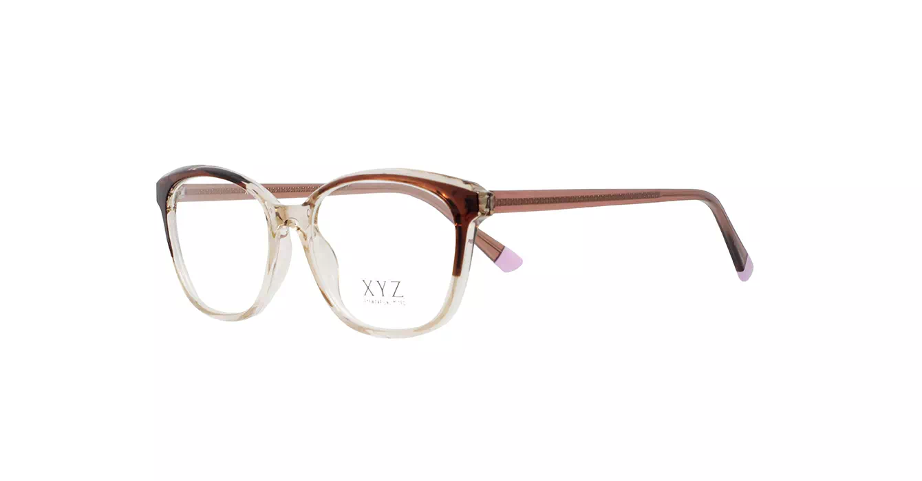 XYZ 8331 C3 s55