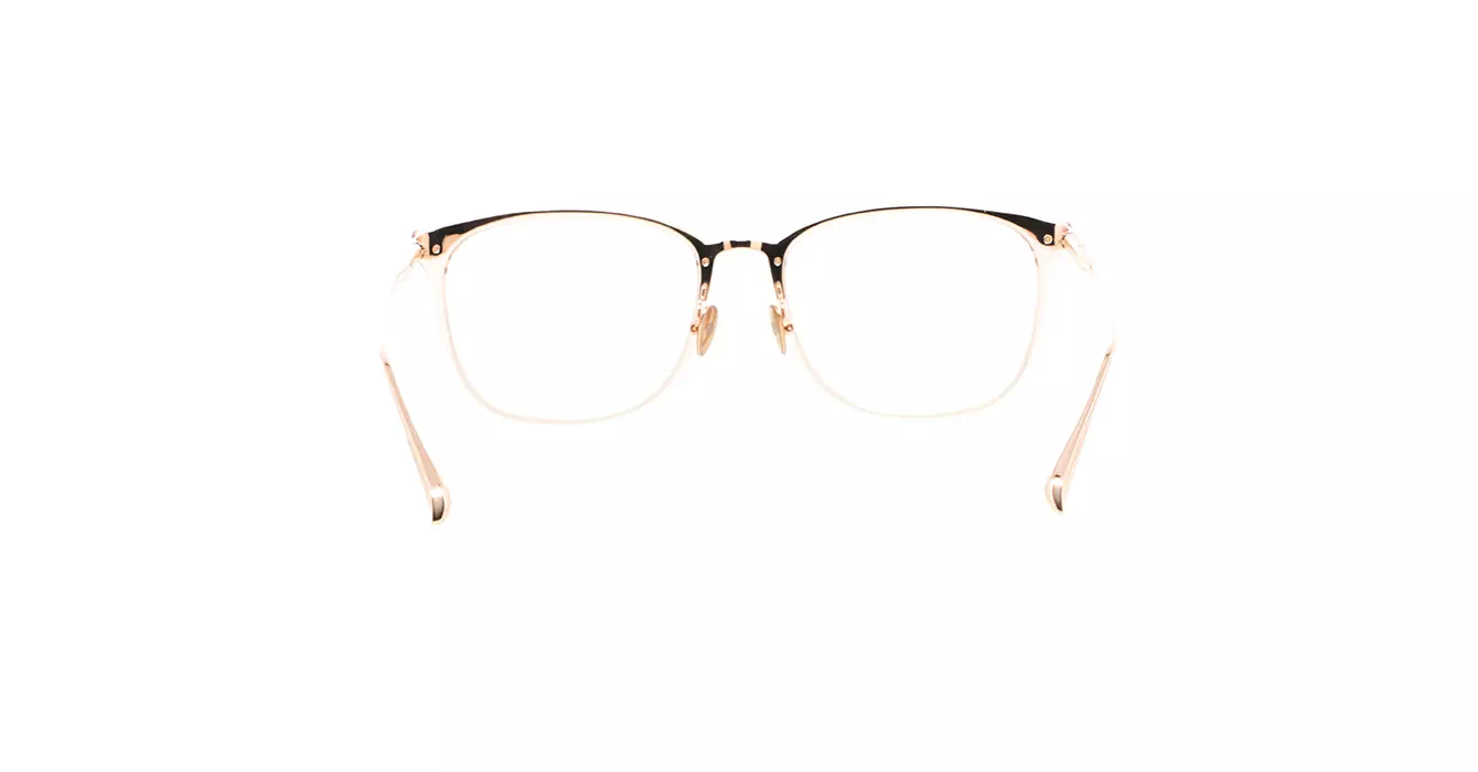 Linda Farrow LFL1457 C6 s56 Cassin