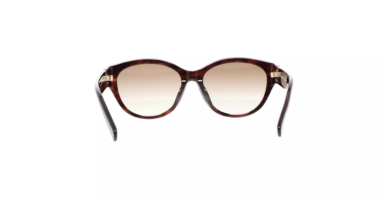 Longchamp LO747SLBJ 238 s53