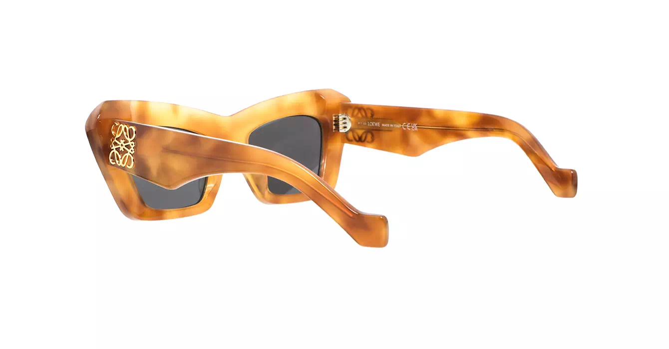 Loewe LW40036I 53A s51