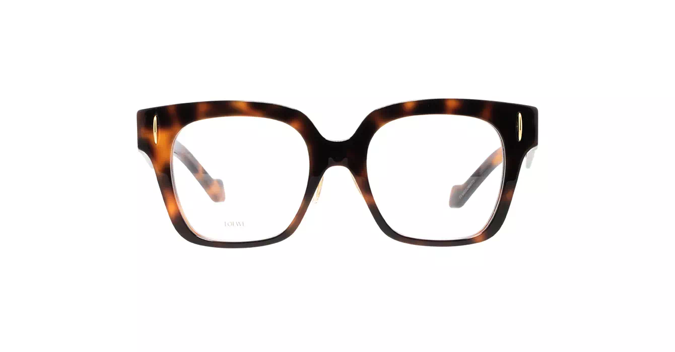 Loewe LW50069F 052 s51