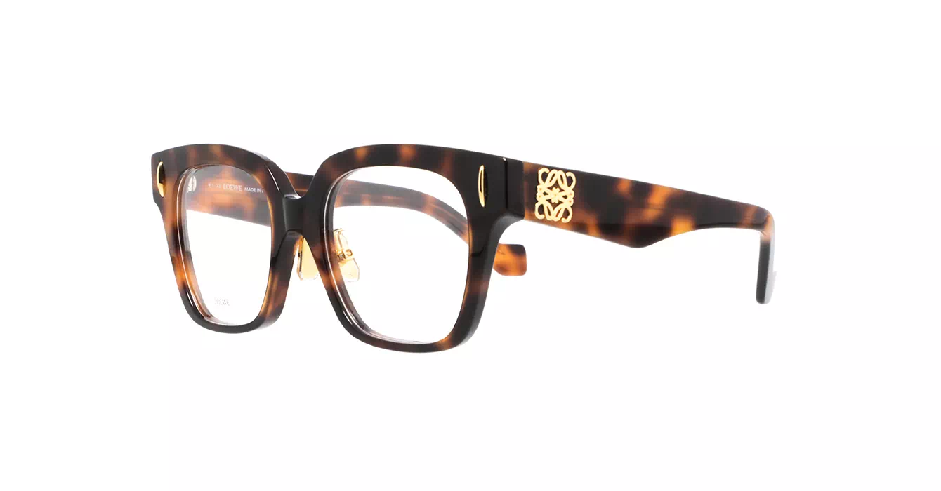 Loewe LW50069F 052 s51