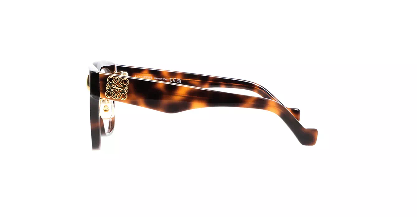 Loewe LW50069F 052 s51