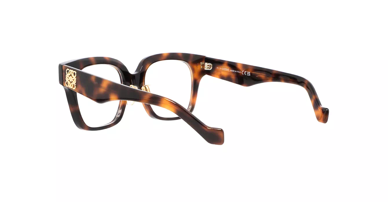 Loewe LW50069F 052 s51