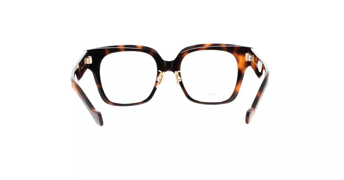 Loewe LW50069F 052 s51