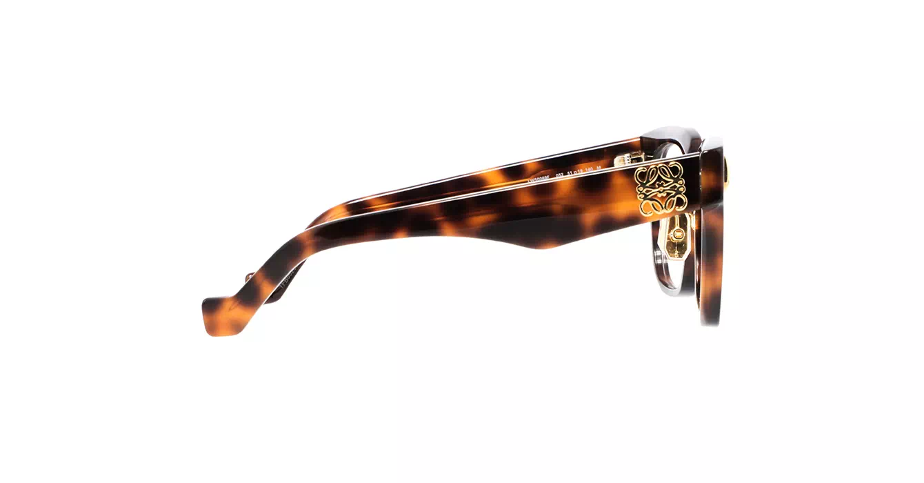 Loewe LW50069F 052 s51