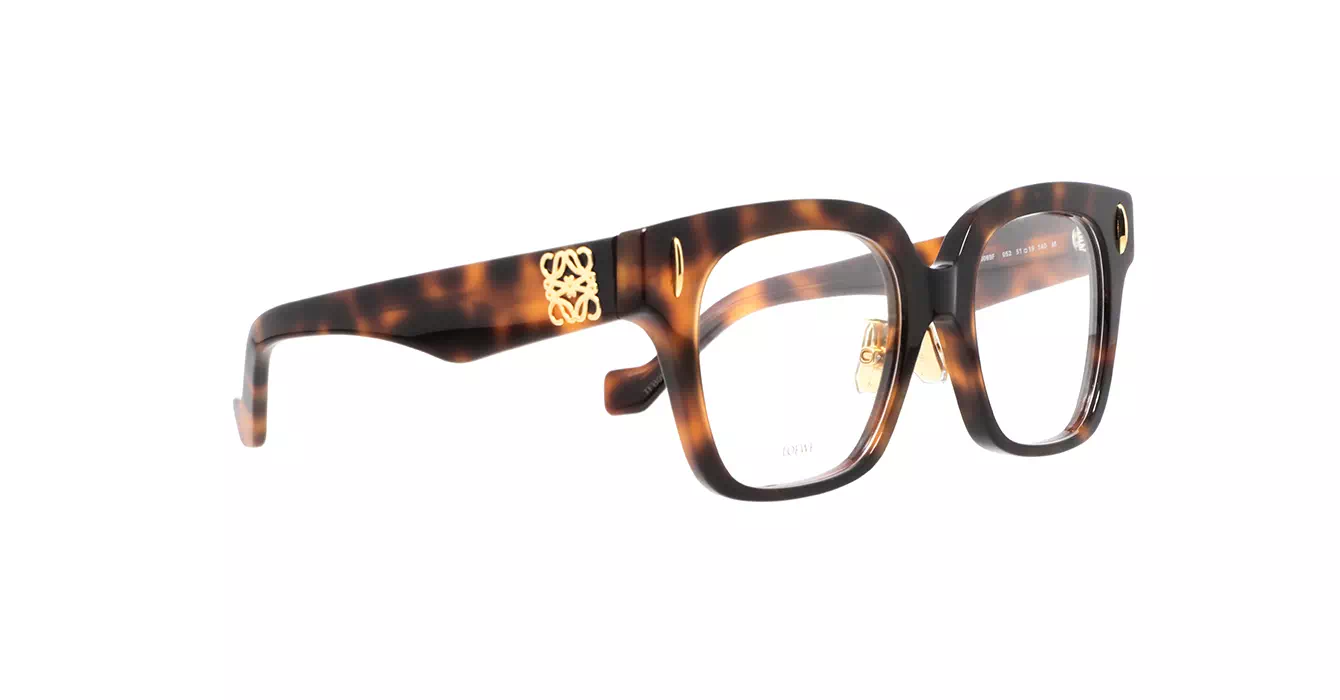 Loewe LW50069F 052 s51