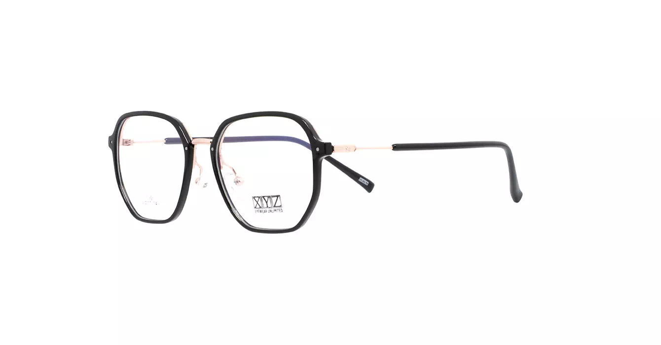 XYZ 1130 C1 s52