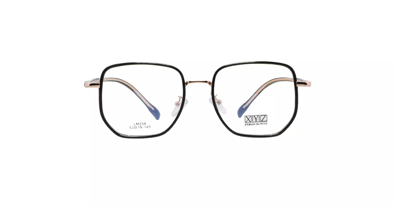 XYZ LM258 C1 s53