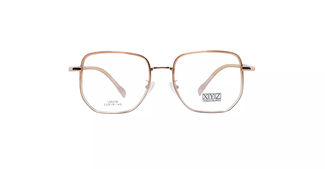 XYZ LM258 C25 s53