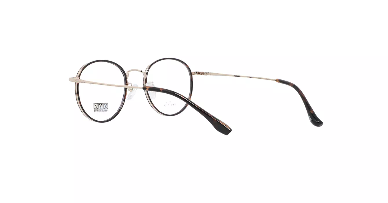 XYZ LM136 C29 s48
