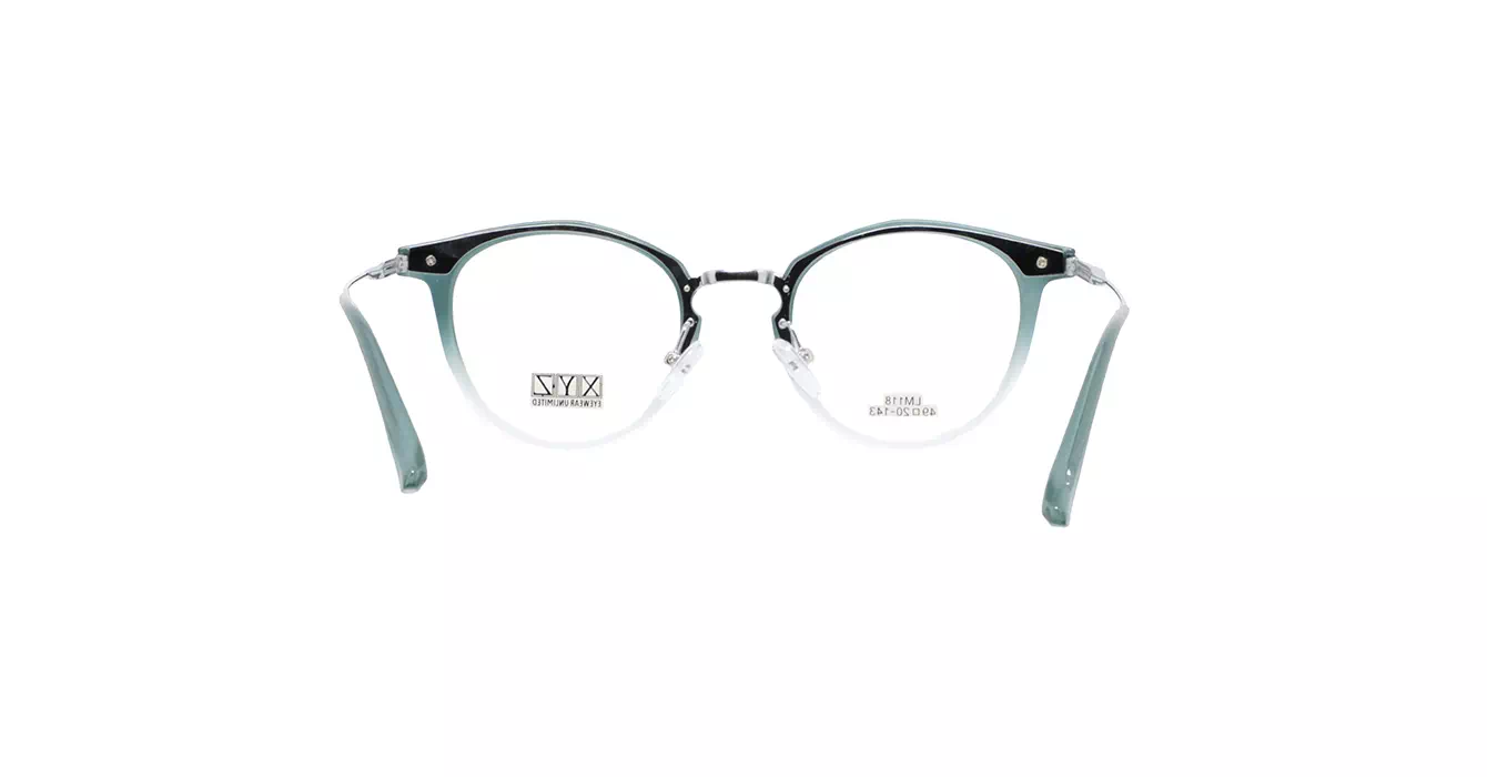 XYZ LM118 C51 s49