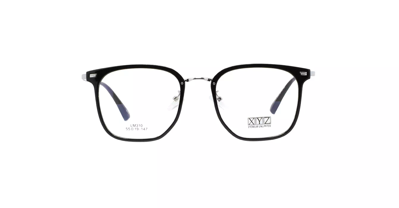 XYZ LM310 C2 s55
