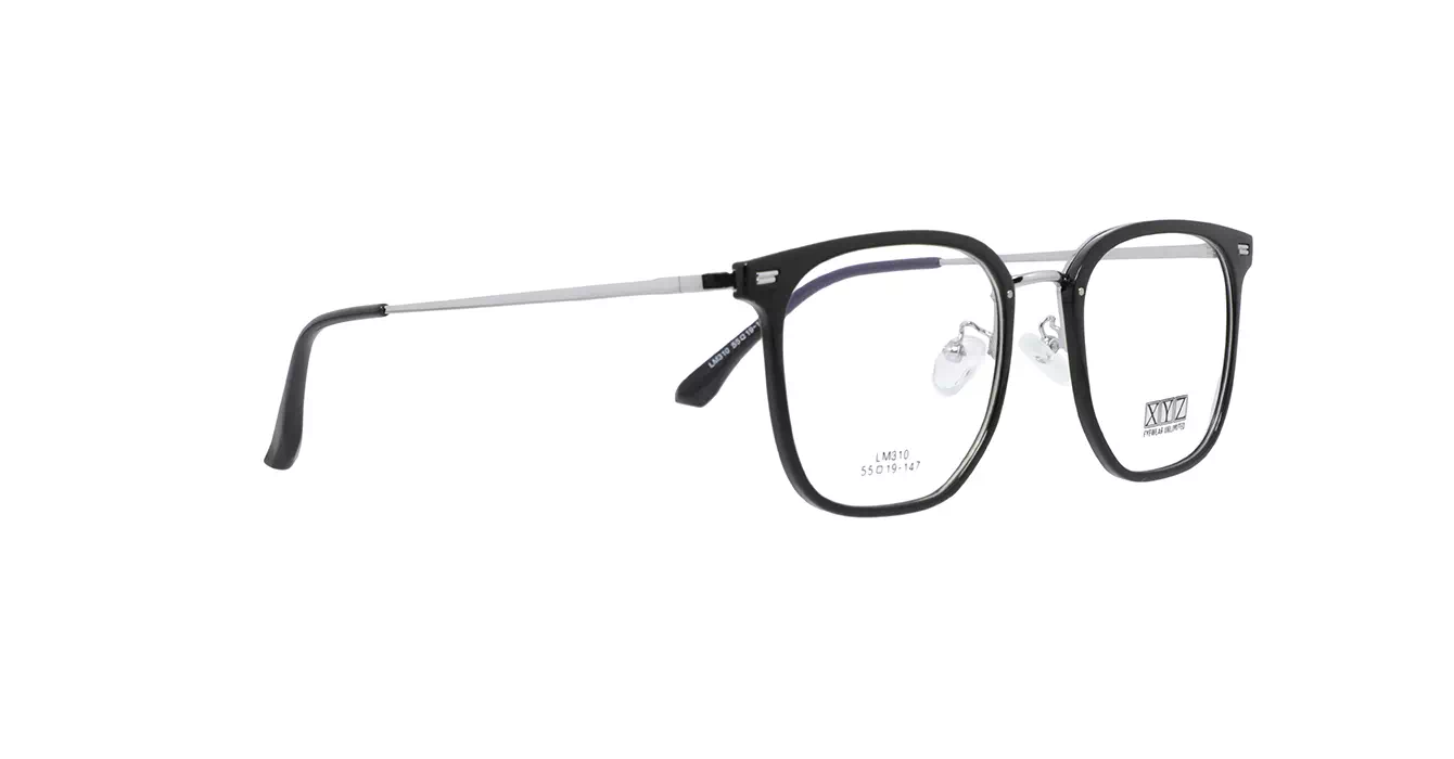 XYZ LM310 C2 s55