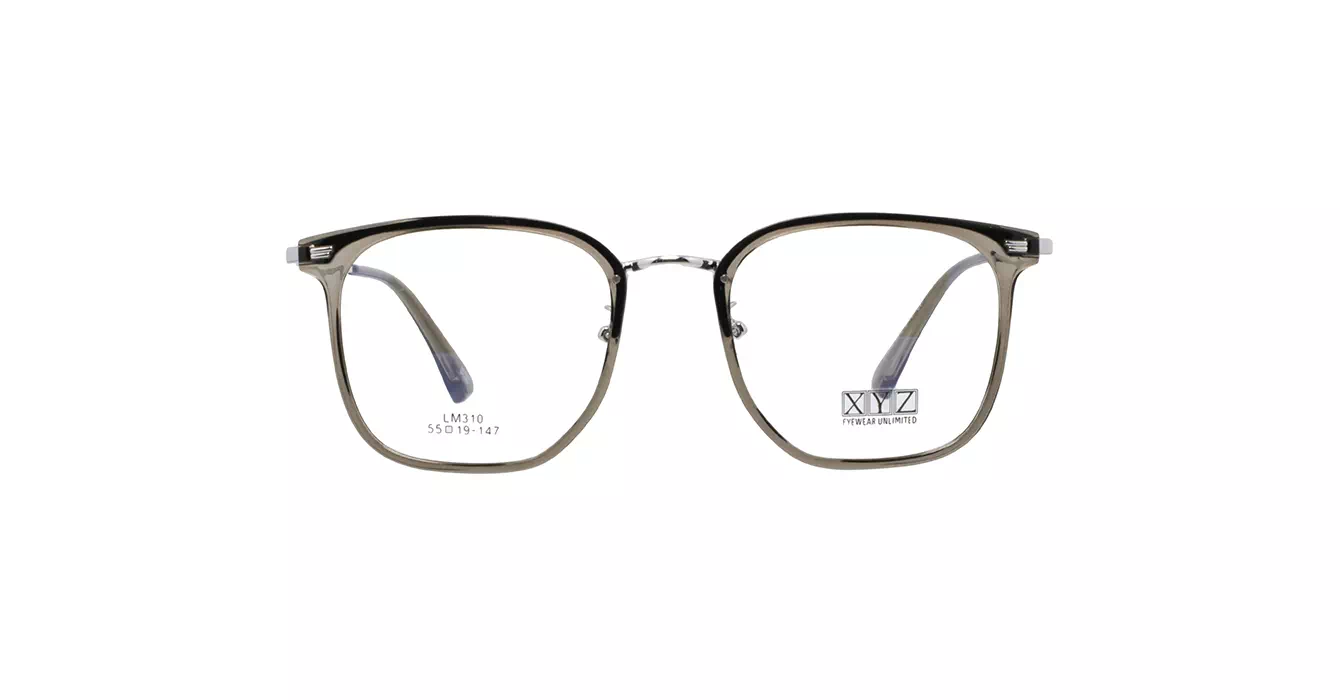 XYZ LM310 C67 s55