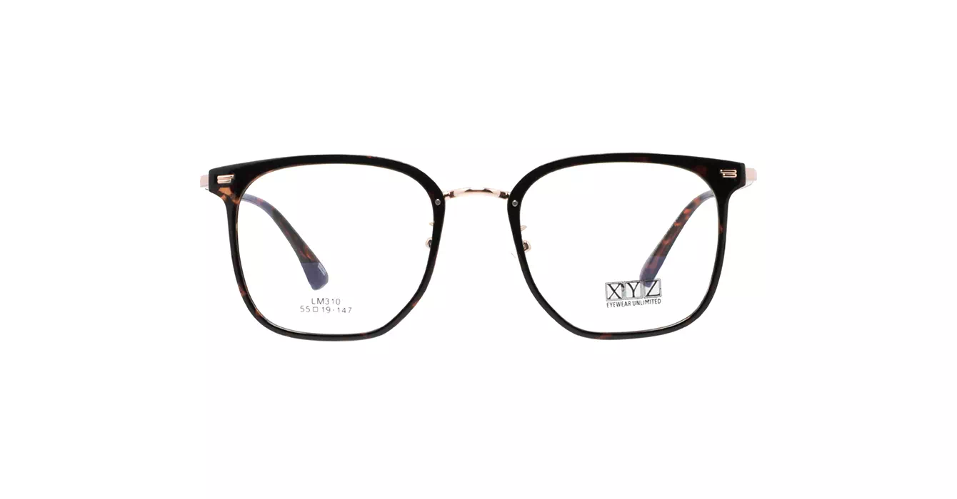 XYZ LM310 C29 s55