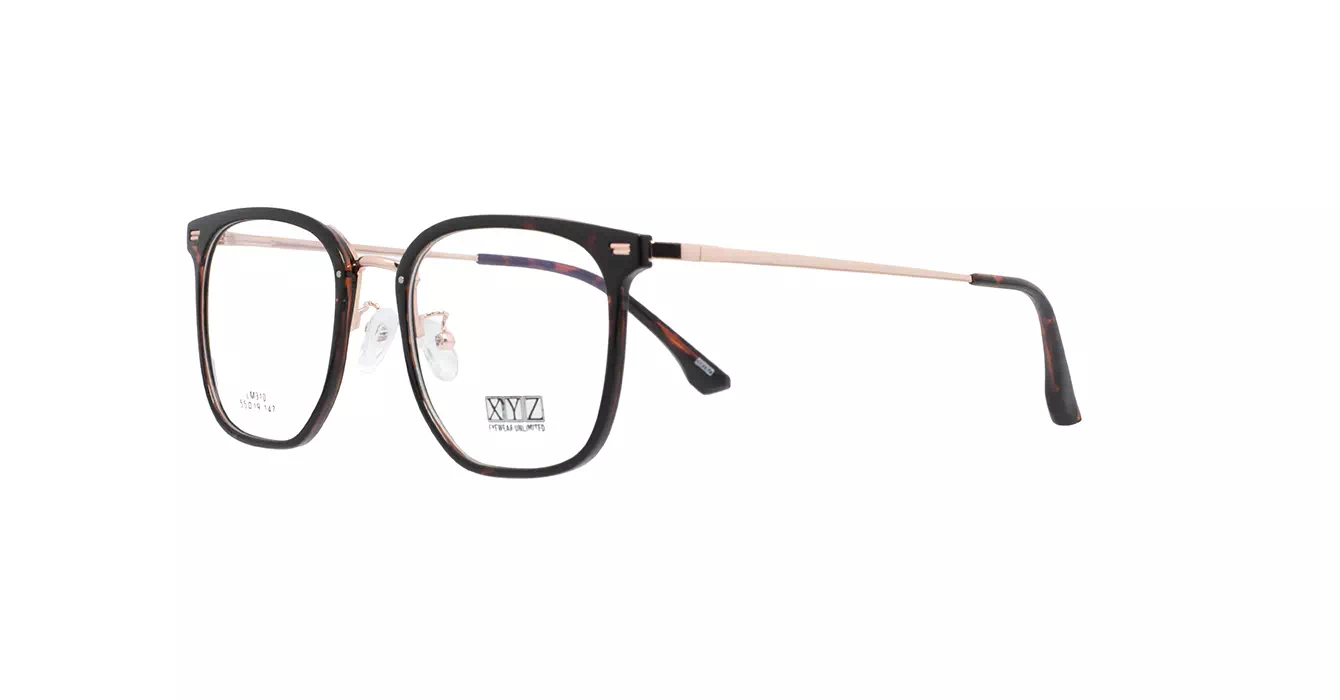 XYZ LM310 C29 s55