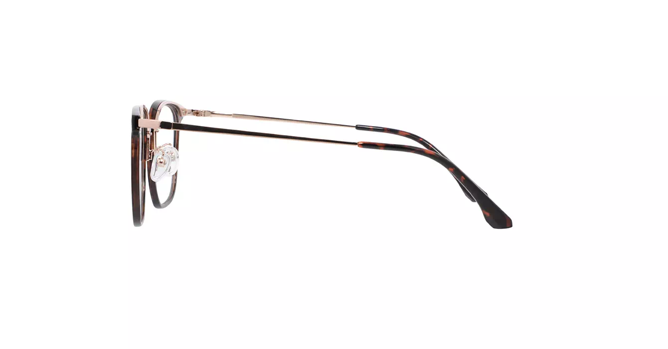 XYZ LM310 C29 s55