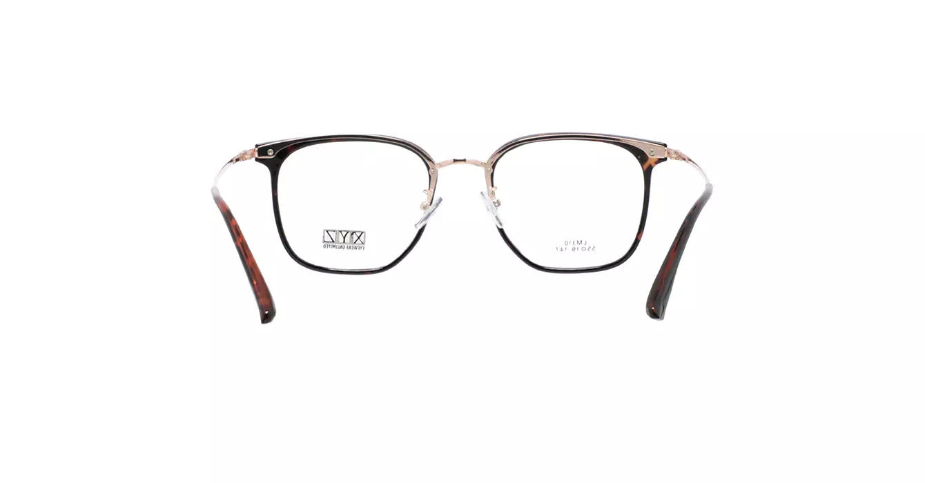 XYZ LM310 C29 s55