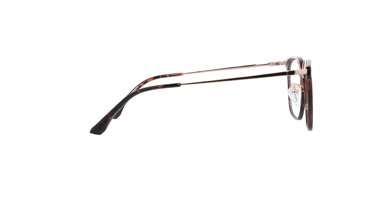 XYZ LM310 C29 s55