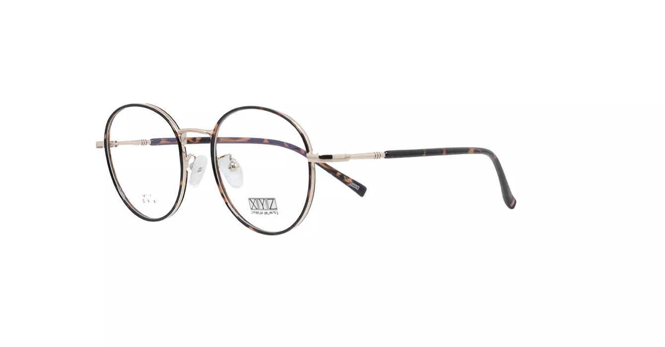 XYZ LM137 C29 s51