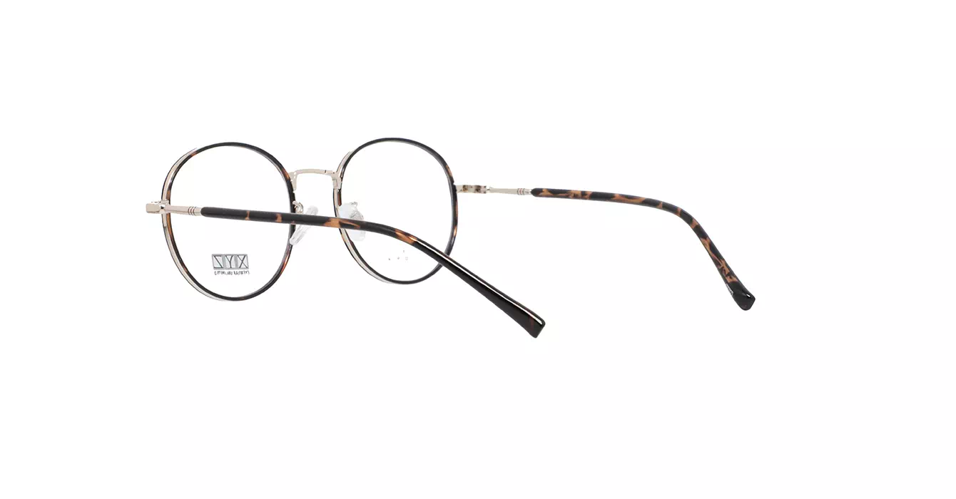 XYZ LM137 C29 s51