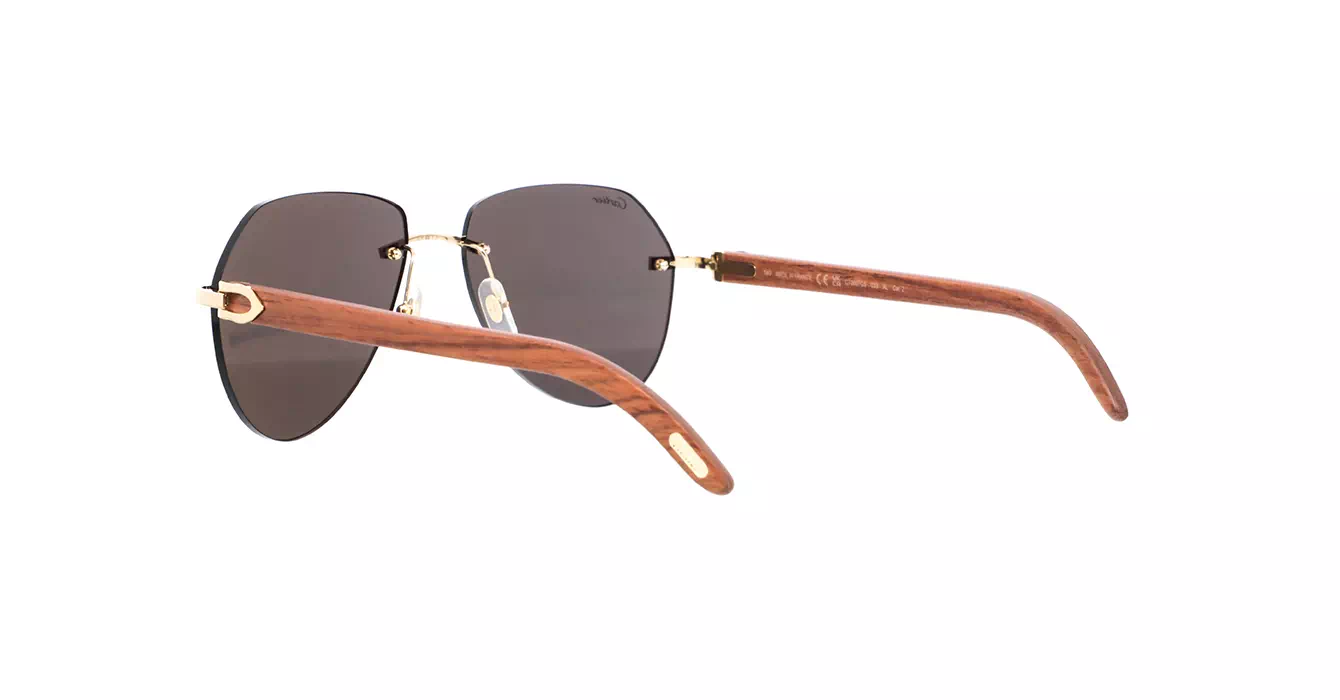 Cartier CT0007CS 033 s59