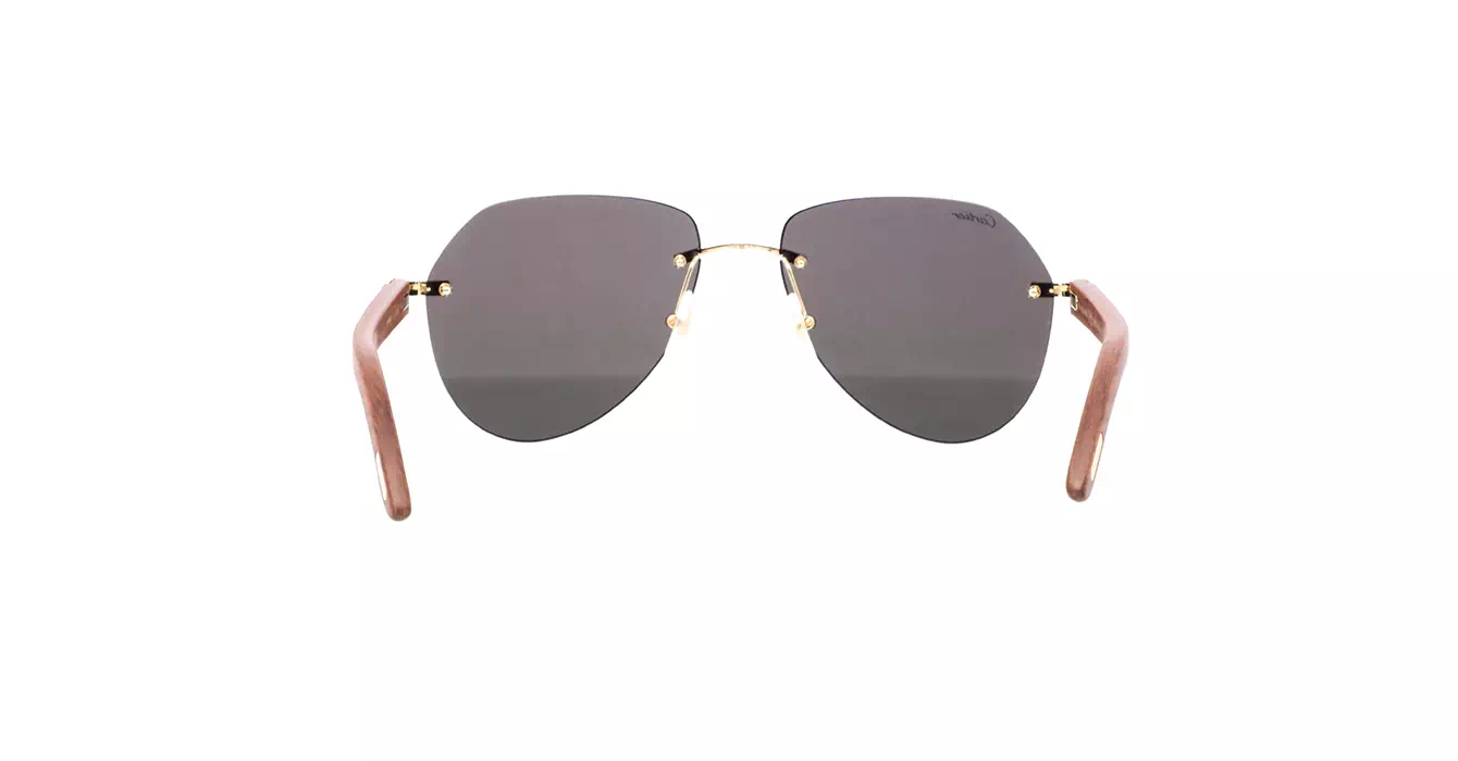 Cartier CT0007CS 033 s59