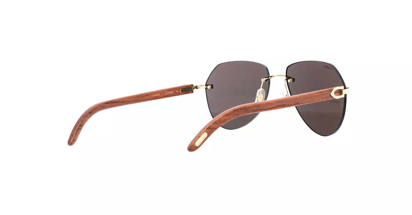 Cartier CT0007CS 033 s59