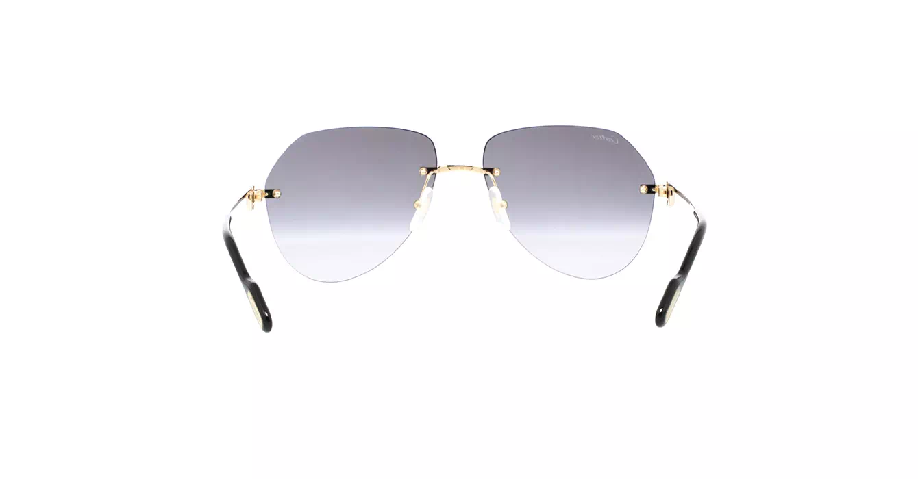Cartier CT0010CS 037 s59