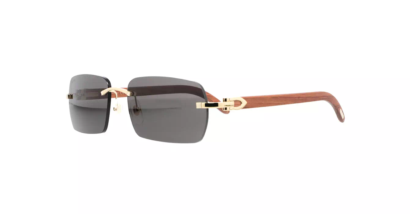 Cartier CT0009CS 033 s59