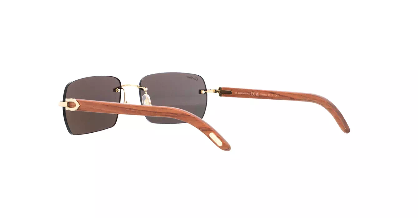 Cartier CT0009CS 033 s59