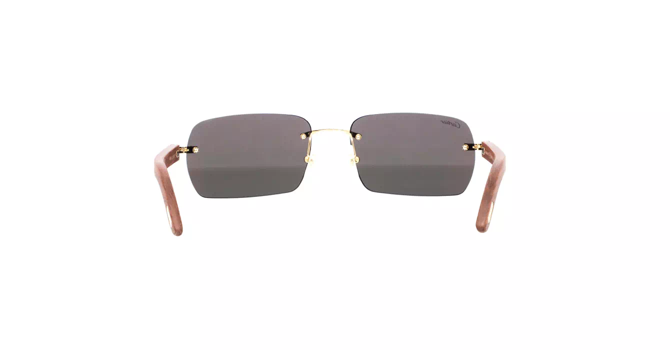 Cartier CT0009CS 033 s59