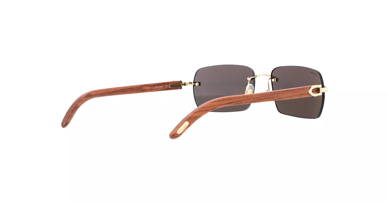 Cartier CT0009CS 033 s59