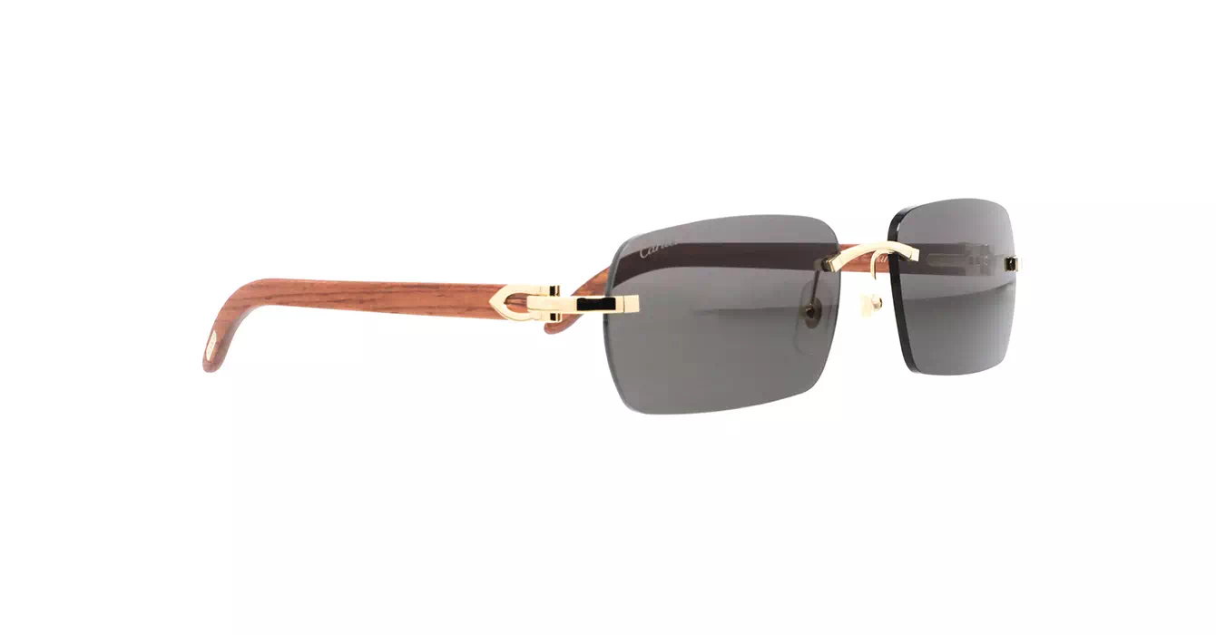 Cartier CT0009CS 033 s59